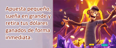Bono de Bienvenida del 100% promotion
